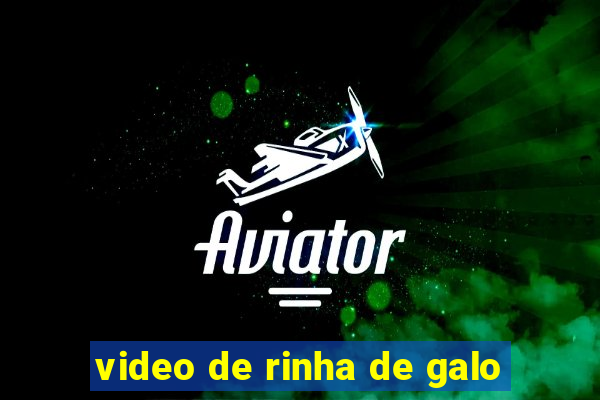 video de rinha de galo